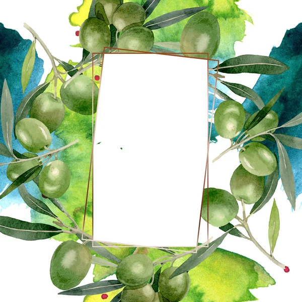 Olive branch with black and green fruit. Watercolor background illustration set. Frame border ornament square. — Stock Photo