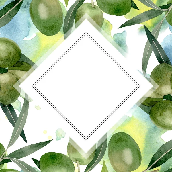 Оливковая ветвь с черными и зелеными фруктами. Набор акварельных фонов. Граничный орнамент . — стоковое фото