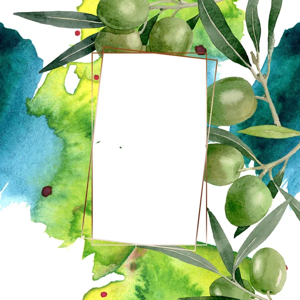 Olive branch with black and green fruit. Watercolor background illustration set. Frame border ornament square. — Stock Photo