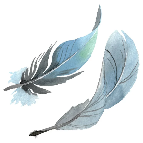 Plume d'oiseau de l'aile isolée. Ensemble d'illustration de fond aquarelle. Élément d'illustration de plumes isolées . — Photo de stock