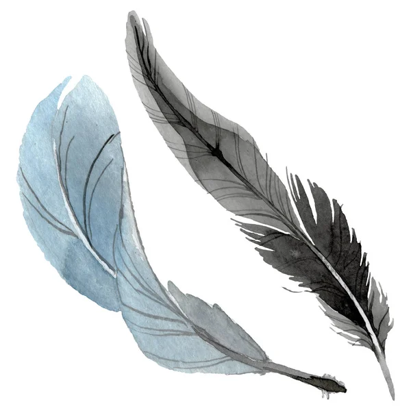 Pluma de pájaro de ala aislada. Conjunto de ilustración de fondo acuarela. Elemento ilustrativo plumas aisladas . - foto de stock