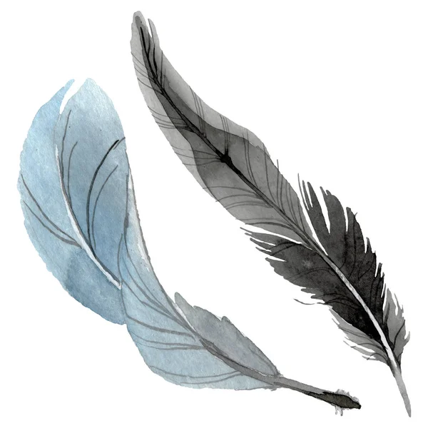 Plume d'oiseau de l'aile isolée. Ensemble d'illustration de fond aquarelle. Élément d'illustration de plumes isolées . — Photo de stock