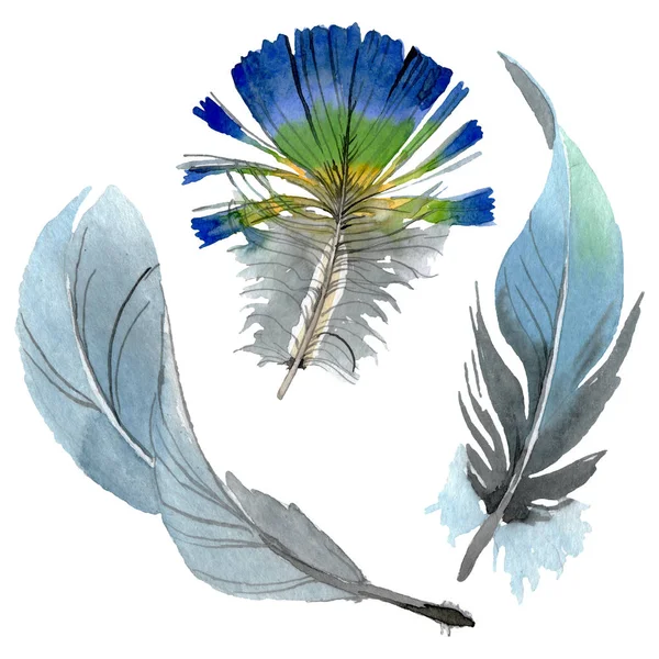 Plume d'oiseau de l'aile isolée. Ensemble d'illustration de fond aquarelle. Élément d'illustration de plumes isolées . — Photo de stock