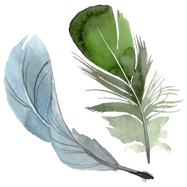 Bird feather from wing isolated. Watercolor background illustration set. Isolated feathers illustration element. — Stock Photo