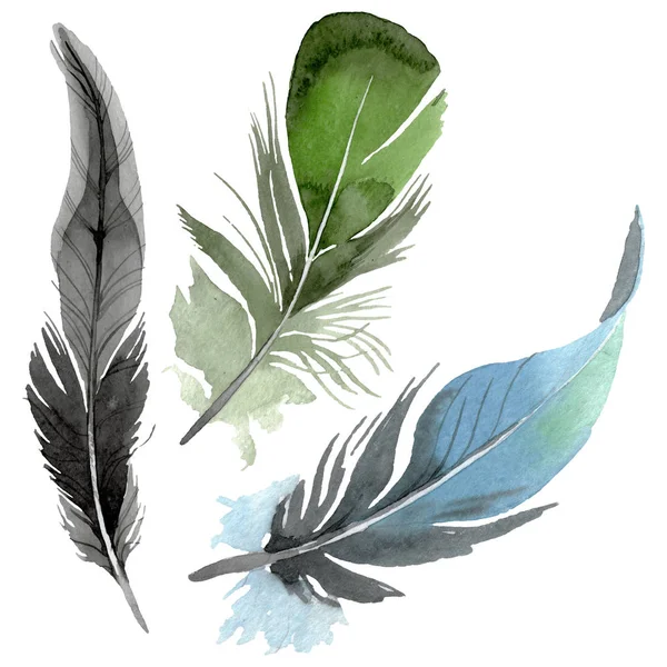 Plume d'oiseau de l'aile isolée. Ensemble d'illustration de fond aquarelle. Élément d'illustration de plumes isolées . — Photo de stock