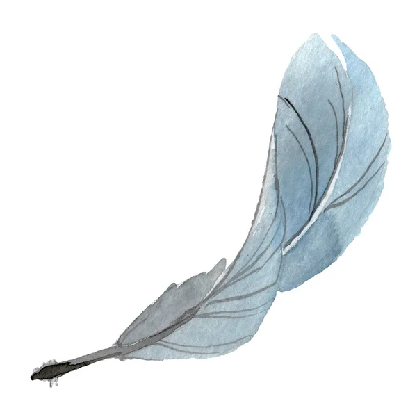 Pluma de pájaro de ala aislada. Conjunto de ilustración de fondo acuarela. Elemento ilustrativo plumas aisladas . - foto de stock