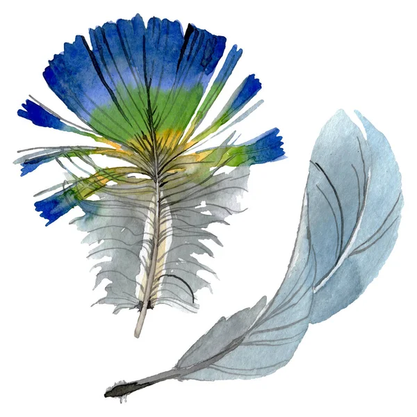 Pluma de pájaro de ala aislada. Conjunto de ilustración de fondo acuarela. Elemento ilustrativo plumas aisladas . - foto de stock