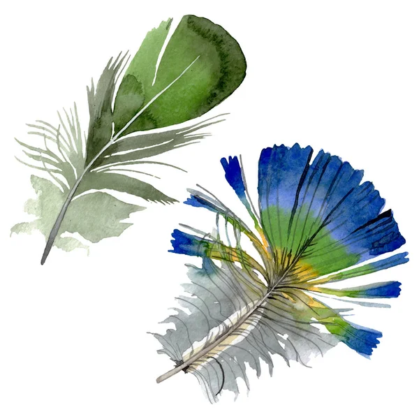 Plume d'oiseau de l'aile isolée. Ensemble d'illustration de fond aquarelle. Élément d'illustration de plumes isolées . — Photo de stock