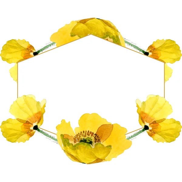 Botanische Blüten des gelben Mohns. Aquarell Hintergrundillustration Set. Rahmen Rand Ornament Quadrat. — Stockfoto