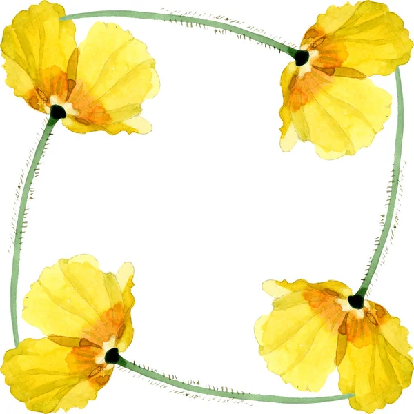 Fleurs botaniques florales de pavot jaune. Ensemble d'illustration de fond aquarelle. Cadre bordure ornement carré . — Photo de stock