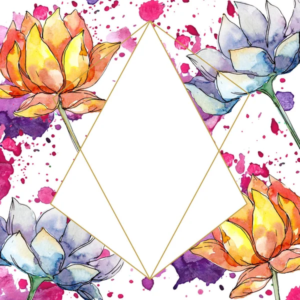 Fleur botanique florale de lotus. Ensemble d'illustration de fond aquarelle. Cadre bordure ornement carré . — Photo de stock
