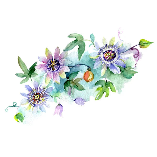 Ramo de flores botánicas florales. Conjunto de ilustración de fondo acuarela. Ramos aislados elemento de ilustración . — Stock Photo