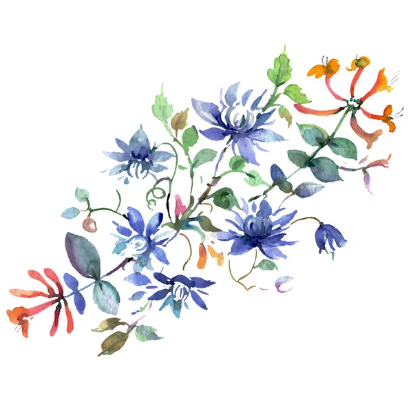 Bouquet floreale fiori botanici. Acquerello sfondo illustrazione set. Mazzi isolati elemento illustrazione . — Foto stock