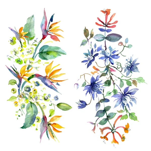 Bouquet floral botanical flowers. Watercolor background illustration set. Isolated bouquets illustration element. — Stock Photo