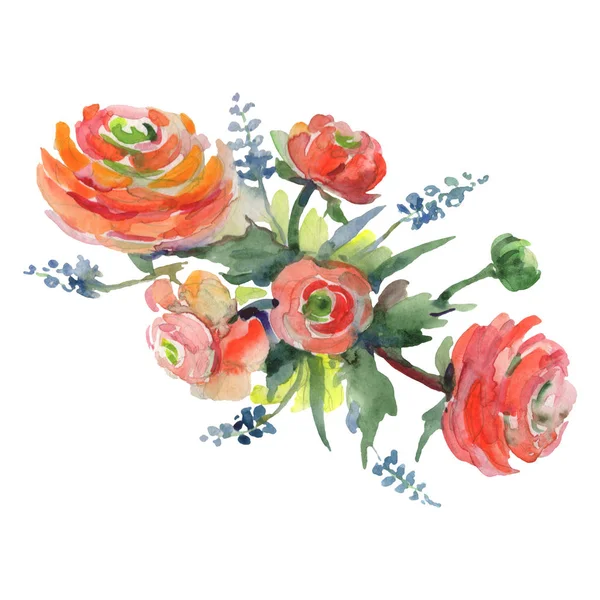 Bouquet floral de fleurs botaniques. Ensemble d'illustration de fond aquarelle. Bouquets isolés élément illustration . — Photo de stock