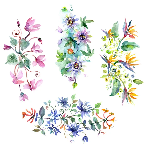 Bouquet floral de fleurs botaniques. Ensemble d'illustration de fond aquarelle. Bouquets isolés élément illustration . — Photo de stock