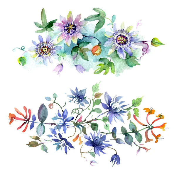 Букет квіткових ботанічних квітів. Набір ілюстрацій для акварельного фону. Ізольовані букети елемент ілюстрації . — стокове фото