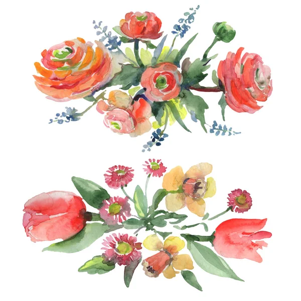 Bouquet floral de fleurs botaniques. Ensemble d'illustration de fond aquarelle. Bouquets isolés élément illustration . — Photo de stock