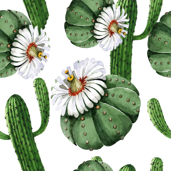 Grünen Kaktus Blumen botanische Blume. Aquarell Hintergrundillustration Set. nahtloses Hintergrundmuster. — Stockfoto