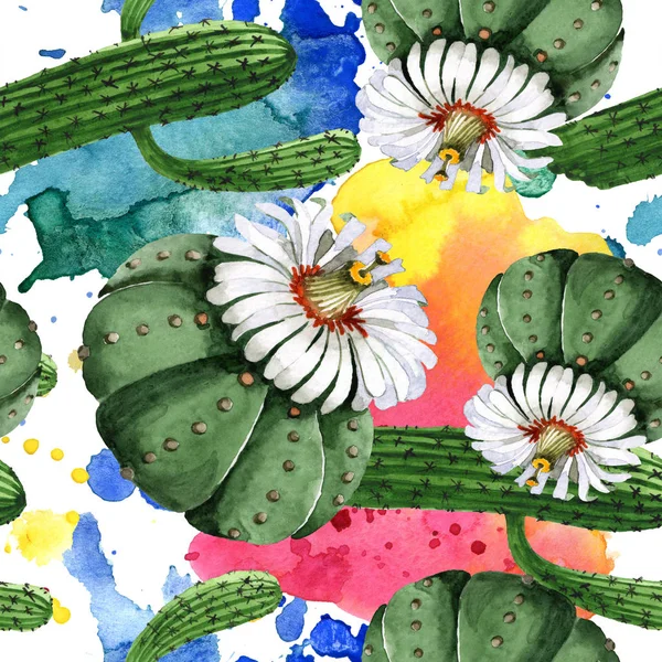 Flor botánica floral de cactus verde. Conjunto de ilustración de fondo acuarela. Patrón de fondo sin costuras . - foto de stock