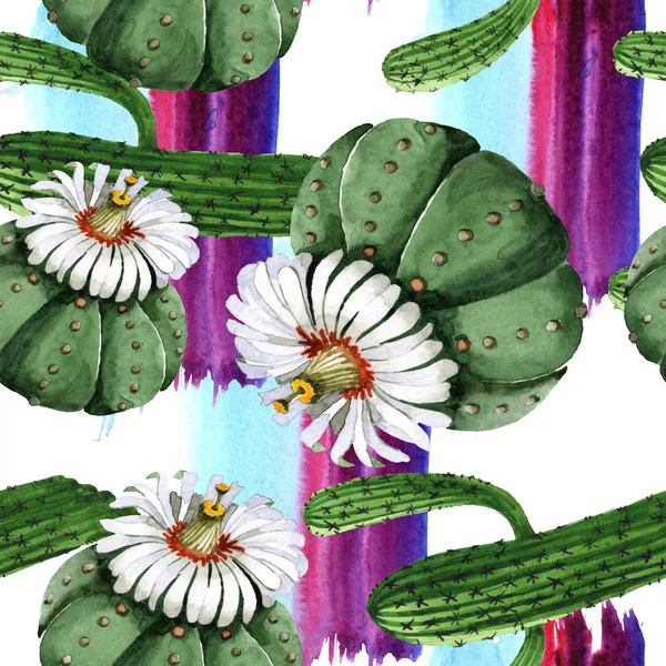 Grünen Kaktus Blumen botanische Blume. Aquarell Hintergrundillustration Set. nahtloses Hintergrundmuster. — Stockfoto