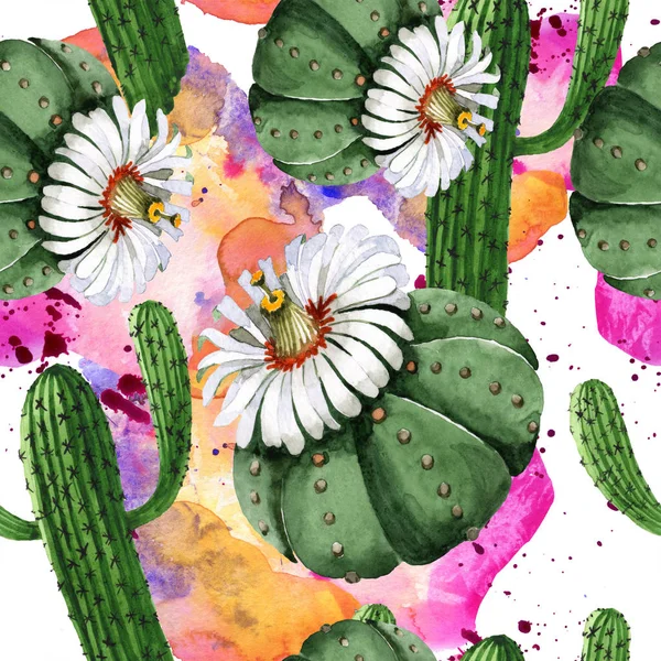 Grünen Kaktus Blumen botanische Blume. Aquarell Hintergrundillustration Set. nahtloses Hintergrundmuster. — Stockfoto