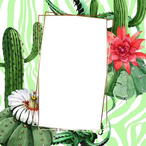 Fleurs botaniques florales de cactus vert. Ensemble d'illustration de fond aquarelle. Cadre bordure ornement carré . — Photo de stock