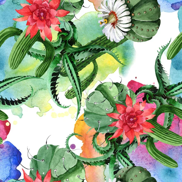 Flor botânica floral cacto verde. Conjunto de ilustração de fundo aquarela. Padrão de fundo sem costura . — Stock Photo