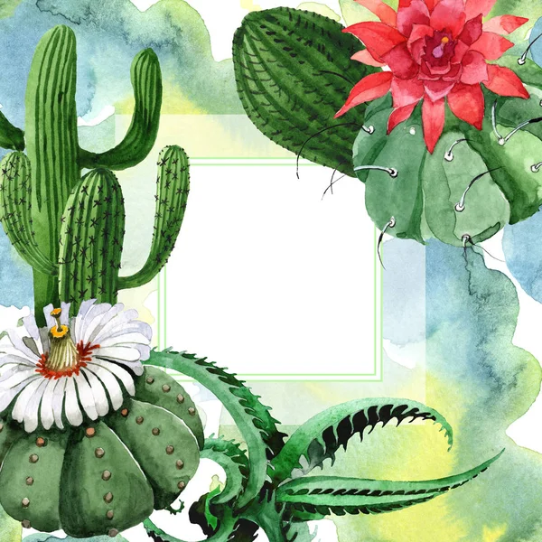 Fiore botanico floreale di cactus verde. Acquerello sfondo illustrazione set. Quadrato ornamento bordo cornice . — Foto stock