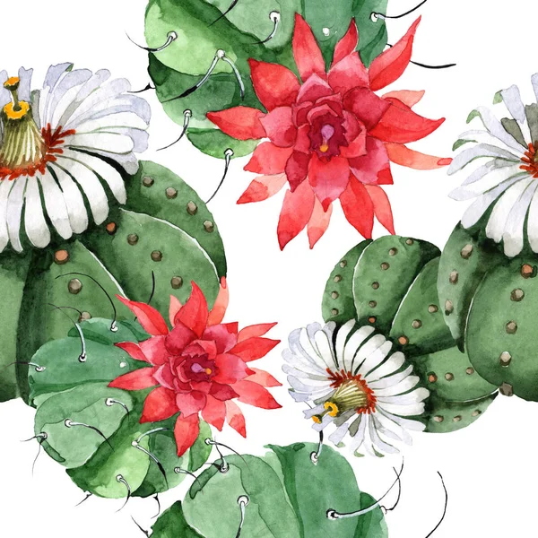 Зелена кактусова квіткова ботанічна квітка. Набір ілюстрацій для акварельного фону. Безшовний візерунок тла . — стокове фото
