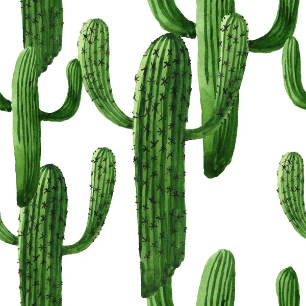 Flor botánica floral de cactus verde. Conjunto de ilustración de fondo acuarela. Patrón de fondo sin costuras . — Stock Photo