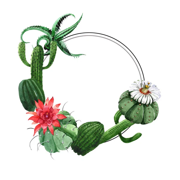 Fleurs botaniques florales de cactus vert. Ensemble d'illustration de fond aquarelle. Cadre bordure ornement carré . — Photo de stock