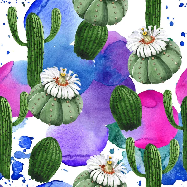 Green cactus floral botanical flower. Watercolor background illustration set. Seamless background pattern. — Stock Photo