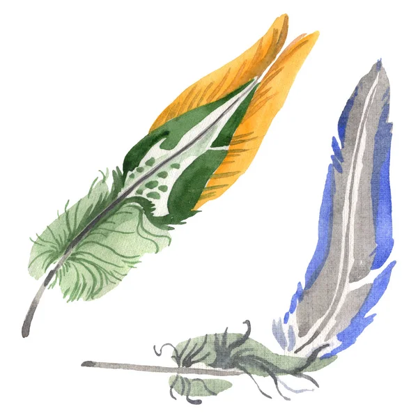 Watercolor bird feather from wing isolated. Aquarelle feather for background. Isolated feather illustration element. — Stock Photo