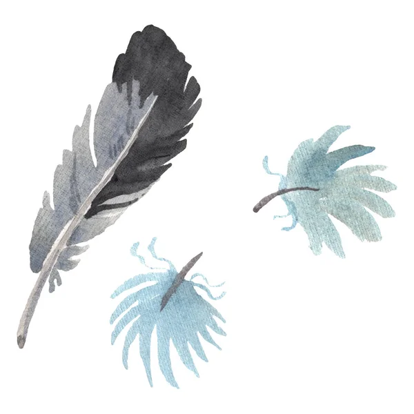 Aquarell Vogelfeder vom Flügel isoliert. Aquarellfeder für den Hintergrund. isolierte Feder Illustrationselement. — Stockfoto
