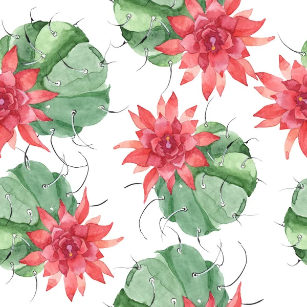 Grünen Kaktus Blumen botanische Blume. Aquarell Hintergrundillustration Set. nahtloses Hintergrundmuster. — Stockfoto