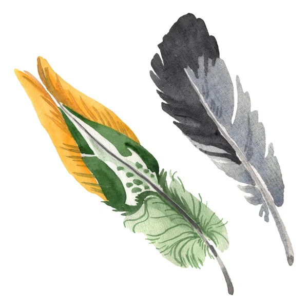 Watercolor bird feather from wing isolated. Aquarelle feather for background. Isolated feather illustration element. — Stock Photo