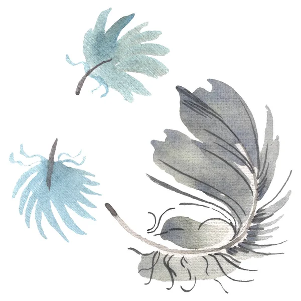 Plume d'oiseau aquarelle de l'aile isolée. Plume Aquarelle pour fond. Élément isolé d'illustration de plumes . — Photo de stock