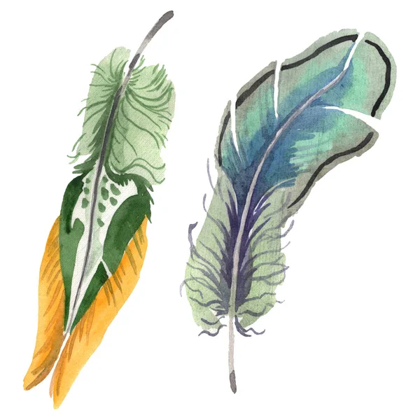 Watercolor bird feather from wing isolated. Aquarelle feather for background. Isolated feather illustration element. — Stock Photo