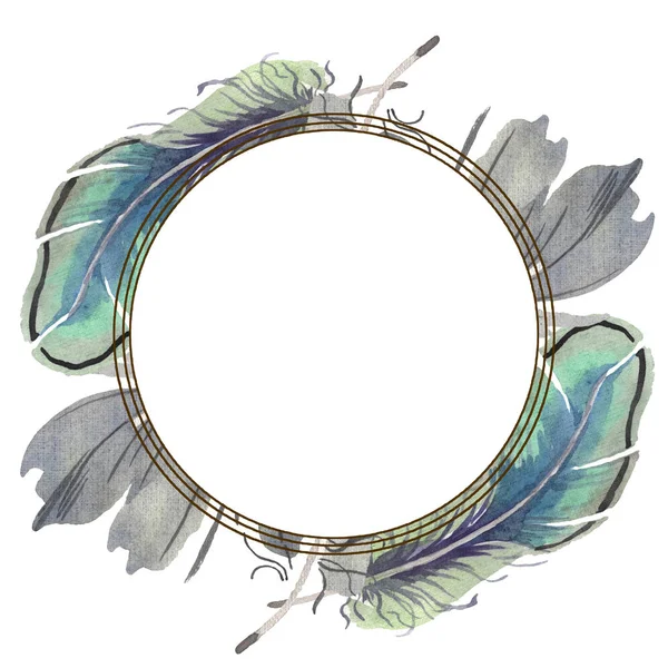 Watercolor bird feather from wing isolated. Aquarelle feather for background. Frame border ornament square. — Stock Photo