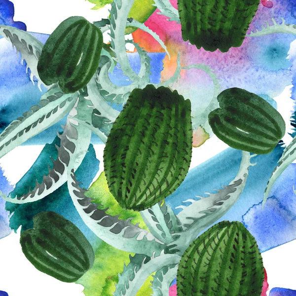 Fiore botanico floreale di cactus verde. Acquerello sfondo illustrazione set. Modello di sfondo senza soluzione di continuità . — Foto stock