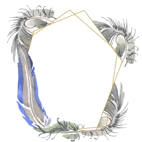 Акварельне пташине перо з крила ізольоване. Пір'я акварелі для тла. Каркасна площа прикордонного орнаменту . — стокове фото