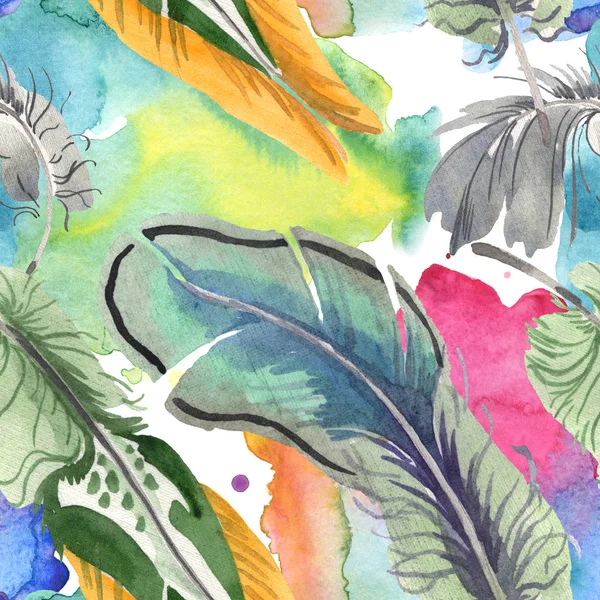 Watercolor bird feather from wing isolated. Aquarelle feather for background. Seamless background pattern. — Stock Photo