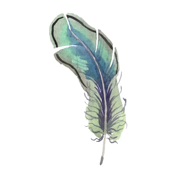 Acuarela pluma de pájaro de ala aislada. Pluma de Aquarelle para el fondo. Elemento de ilustración de plumas aisladas . - foto de stock