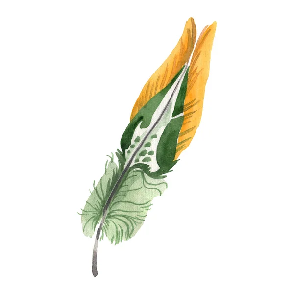 Watercolor bird feather from wing isolated. Aquarelle feather for background. Isolated feather illustration element. — Stock Photo