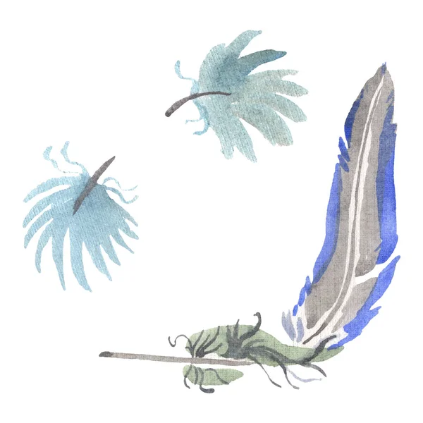 Watercolor bird feather from wing isolated. Aquarelle feather for background. Isolated feather illustration element. — Stock Photo