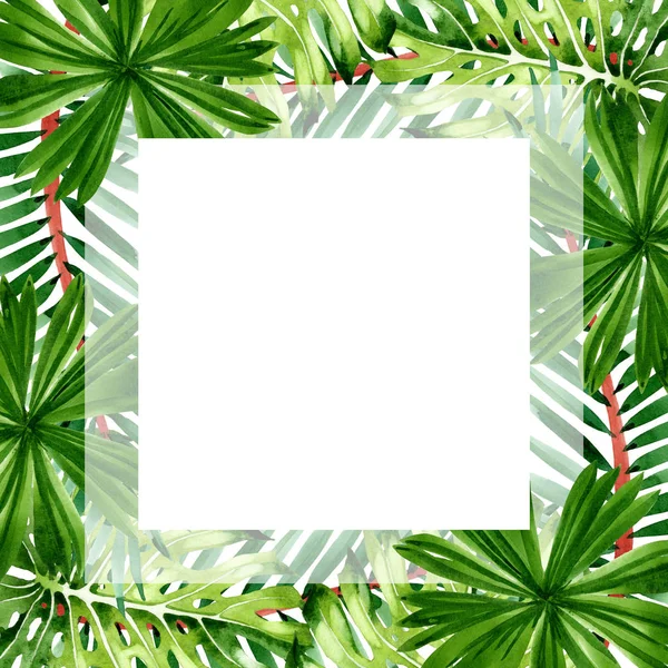 Palm beach tree leaves jungle botanical. Watercolor background illustration set. Frame border ornament square. — Stock Photo