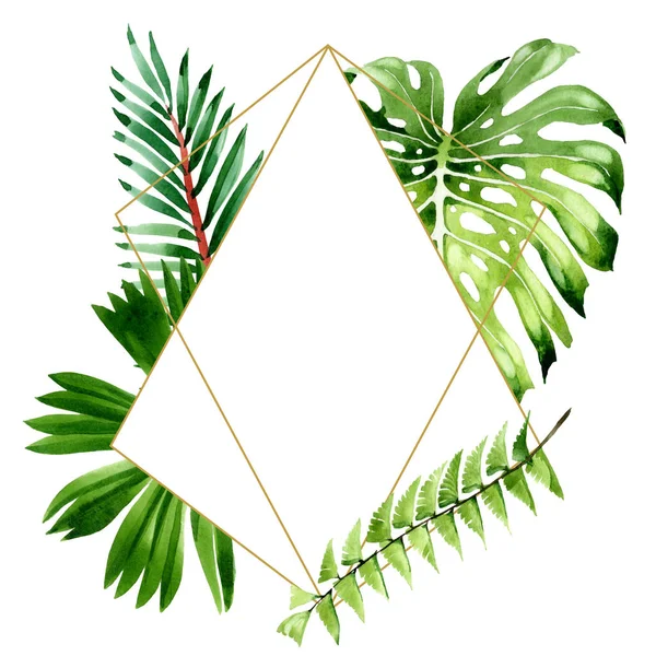 Palm beach tree leaves jungle botanical. Watercolor background illustration set. Frame border ornament square. — Stock Photo