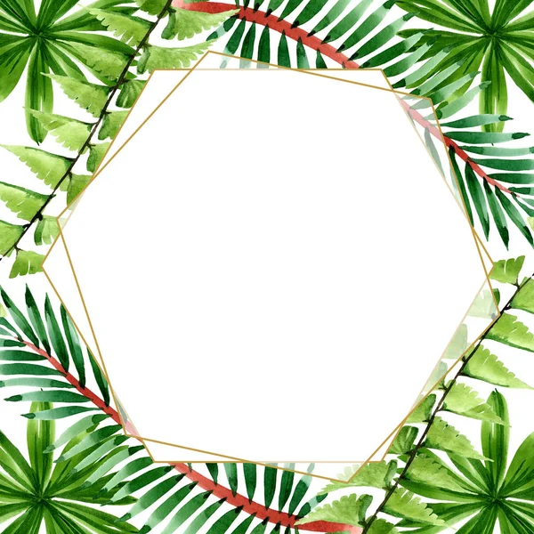 Palm beach tree leaves jungle botanical. Watercolor background illustration set. Frame border ornament square. — Stock Photo