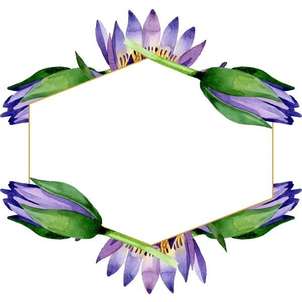 Flores botánicas de loto azul. Conjunto de ilustración de fondo acuarela. Marco borde ornamento cuadrado . - foto de stock